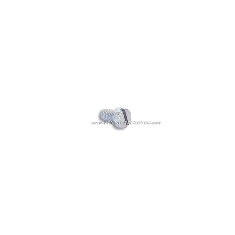 Vis de fixation de cache turbine Acma/Vespa (D,6 L,10)